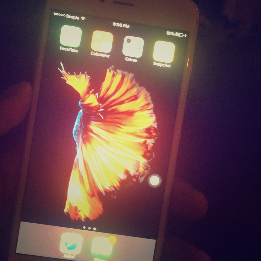 iphone 7s plus unlocked